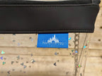 Color Changing Disney Clear Stadium Bag